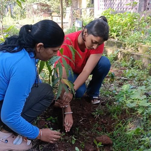 Environmental Protection